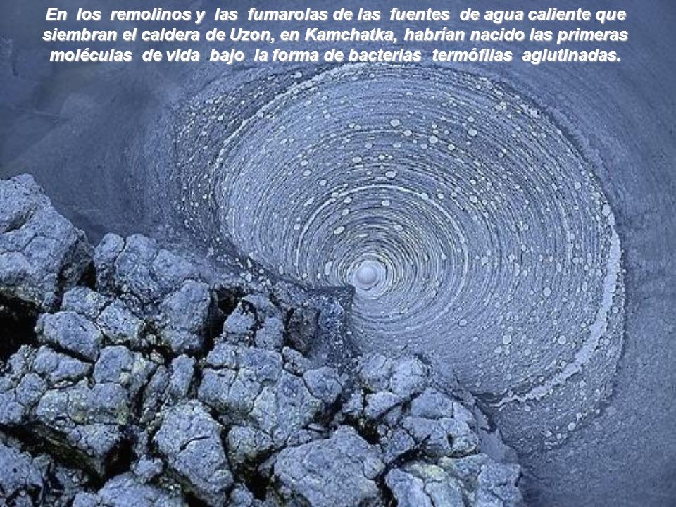En los remolinos y las fumarolas de las fuentes de agua caliente que siembran el caldera de Uzon, en Kamchatka, habrían nacido las primeras moléculas de vida bajo la forma de bacterias termófilas aglutinadas.