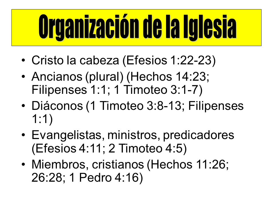 Organización de la Iglesia