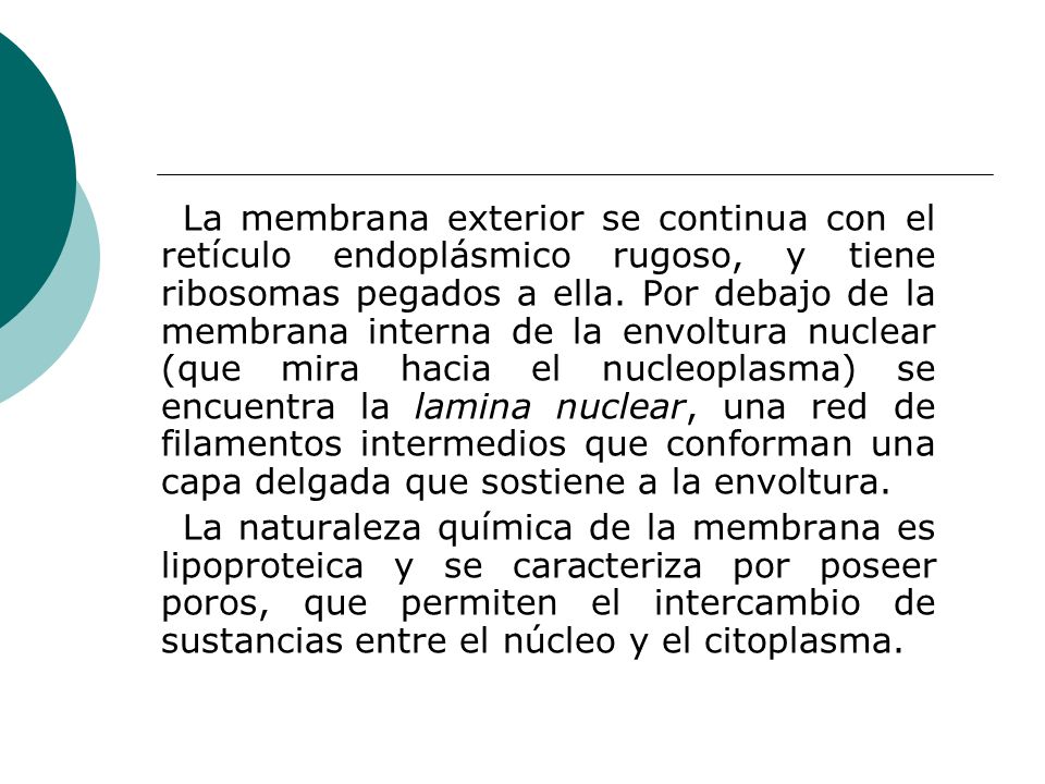 La membrana exterior se continua con el retículo endoplásmico rugoso, y tiene ribosomas pegados a ella. Por debajo de la membrana interna de la envoltura nuclear (que mira hacia el nucleoplasma) se encuentra la lamina nuclear, una red de filamentos intermedios que conforman una capa delgada que sostiene a la envoltura.