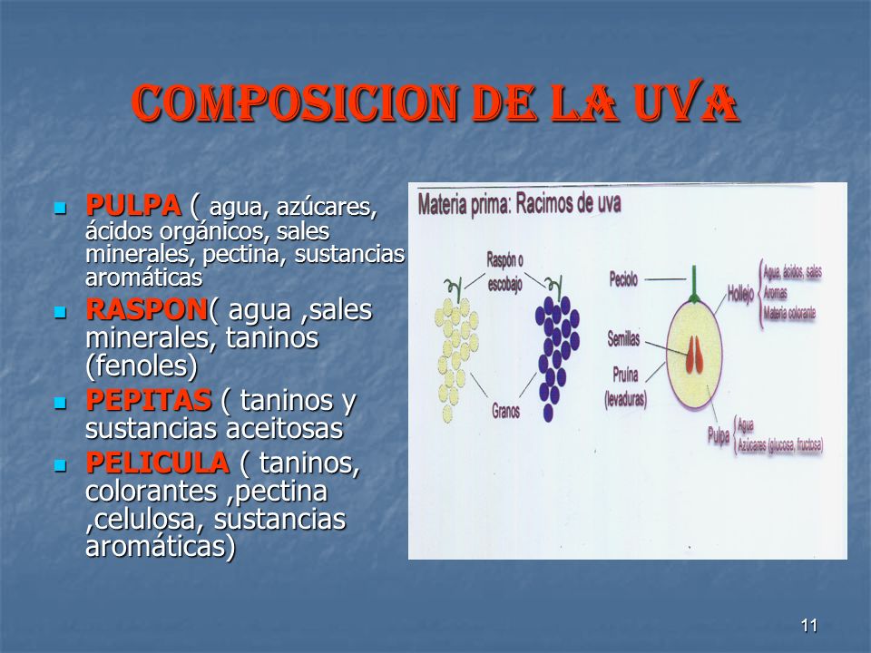 COMPOSICION DE LA UVA PULPA ( agua, azúcares, ácidos orgánicos, sales minerales, pectina, sustancias aromáticas.