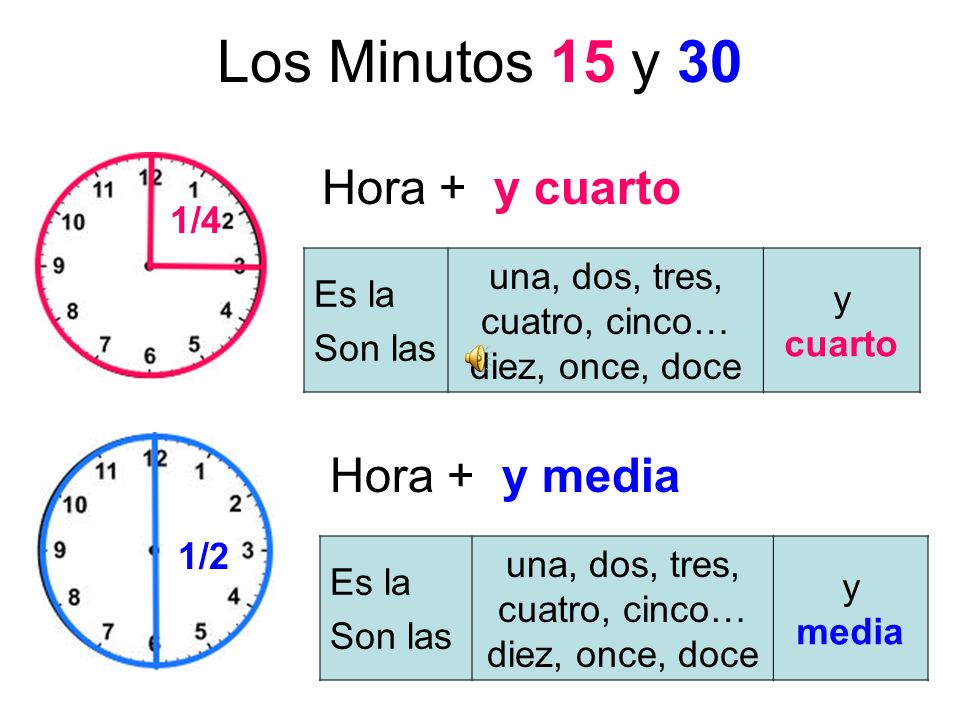 Los Minutos 15 y 30 Hora + y cuarto Hora + y media