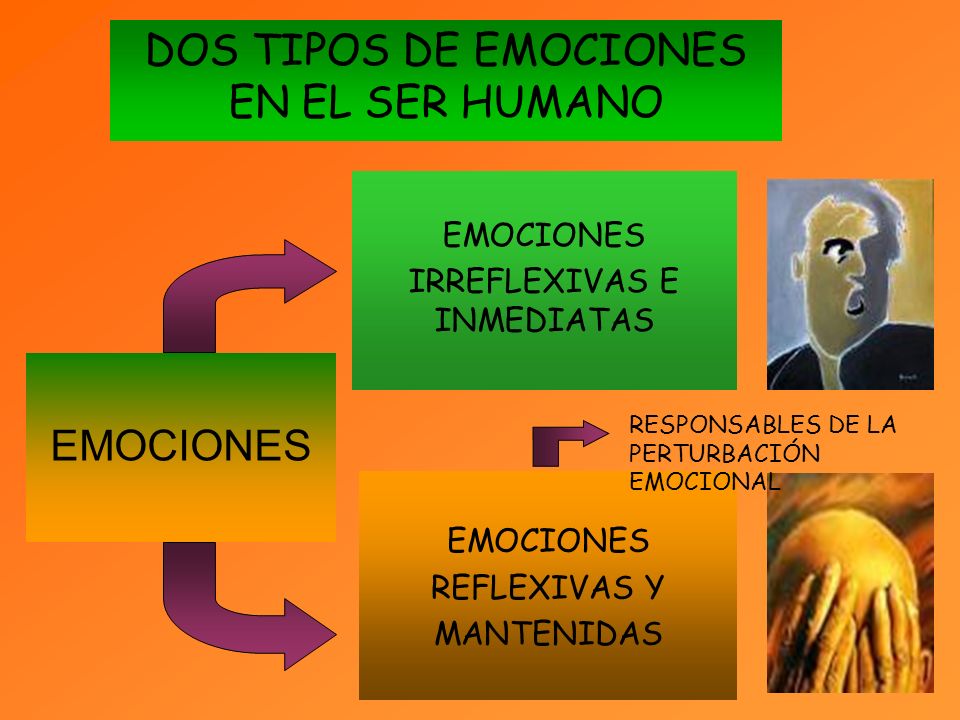 DOS TIPOS DE EMOCIONES EN EL SER HUMANO