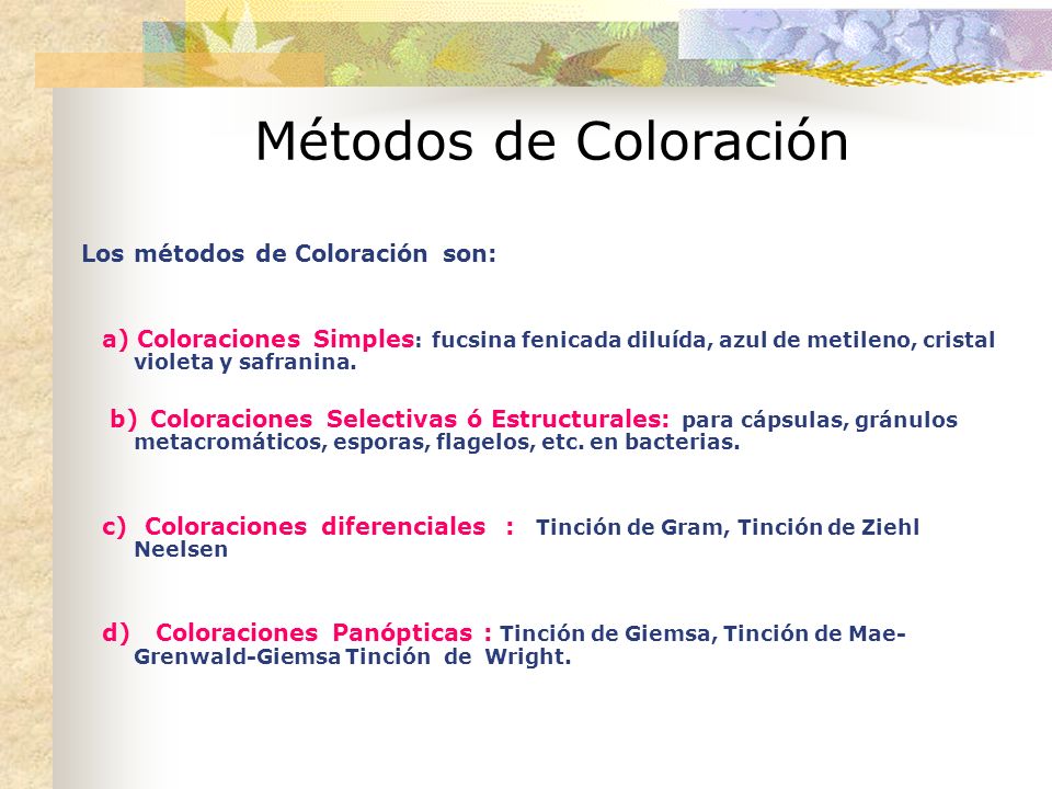 Métodos de Coloración Los métodos de Coloración son: