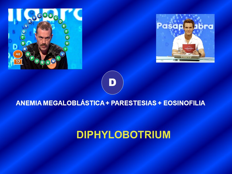 D ANEMIA MEGALOBLÁSTICA + PARESTESIAS + EOSINOFILIA DIPHYLOBOTRIUM