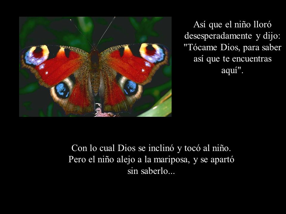 Así que el niño lloró desesperadamente y dijo: Tócame Dios, para saber así que te encuentras aquí .
