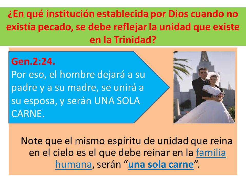 ¿En qué institución establecida por Dios cuando no existía pecado, se debe reflejar la unidad que existe en la Trinidad
