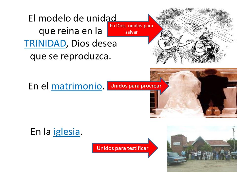 El modelo de unidad que reina en la TRINIDAD, Dios desea que se reproduzca.
