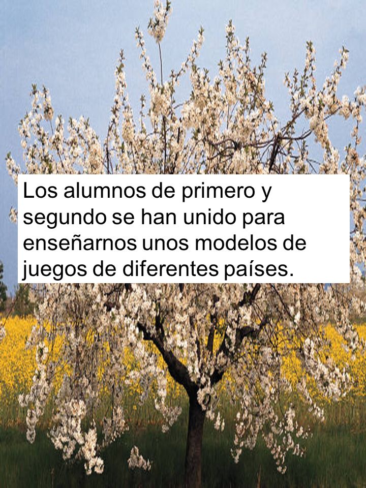 Los alumnos de primero y segundo se han unido para enseñarnos unos modelos de juegos de diferentes países.
