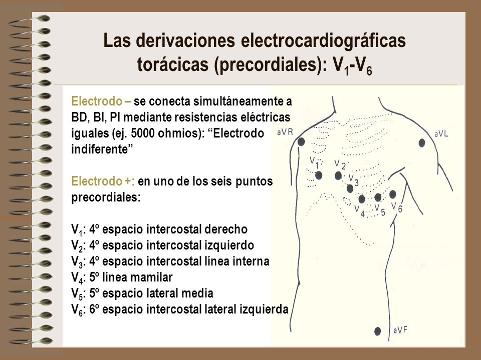 Las derivaciones electrocardiográficas torácicas (precordiales): V1-V6