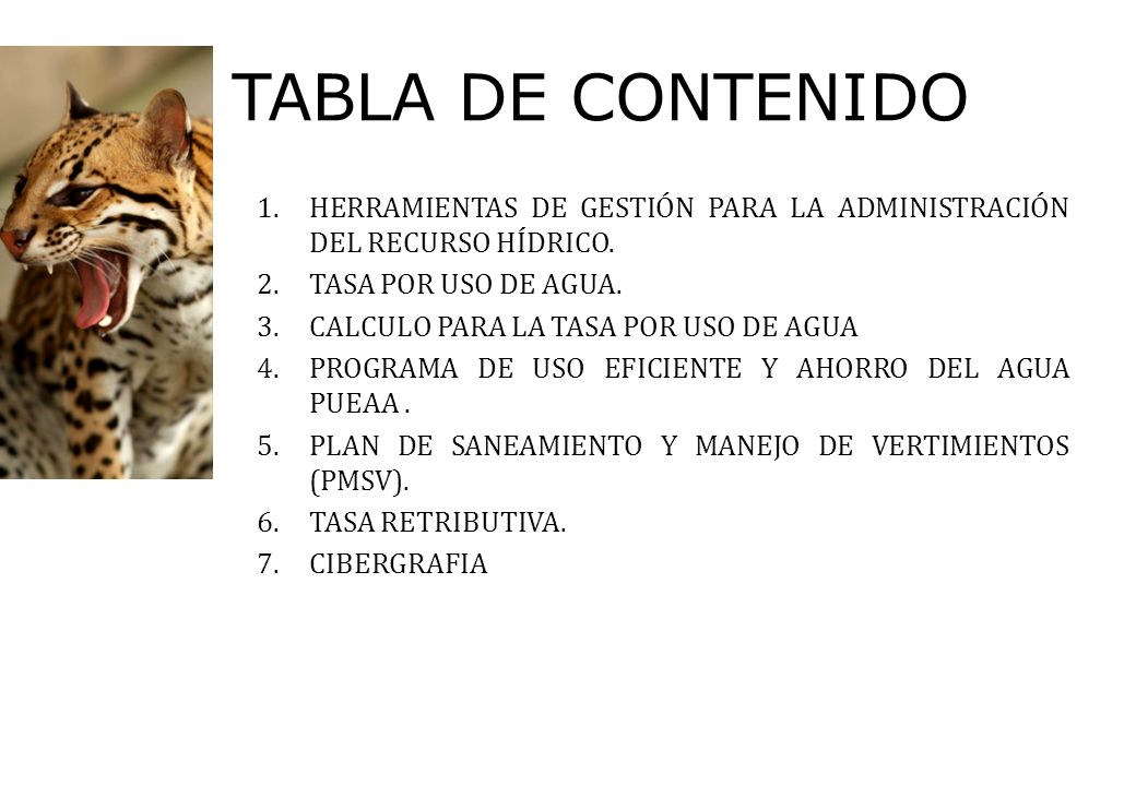 TABLA DE CONTENIDO HERRAMIENTAS DE GESTIÓN PARA LA ADMINISTRACIÓN DEL RECURSO HÍDRICO. TASA POR USO DE AGUA.