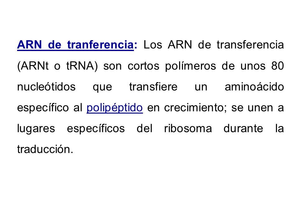 ARN de tranferencia: Los ARN de transferencia (ARNt o tRNA) son cortos polímeros de unos 80 nucleótidos que transfiere un aminoácido específico al polipéptido en crecimiento; se unen a lugares específicos del ribosoma durante la traducción.