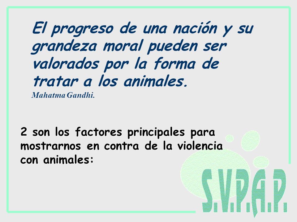 El progreso de una nación y su grandeza moral pueden ser valorados por la forma de tratar a los animales. Mahatma Gandhi.