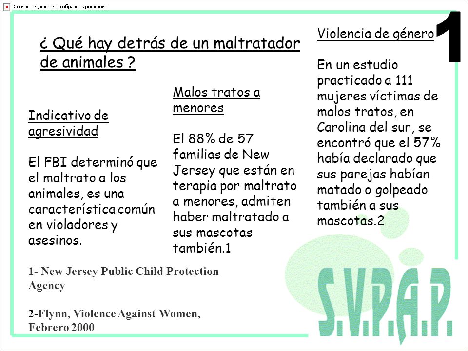 1 ¿ Qué hay detrás de un maltratador de animales Violencia de género