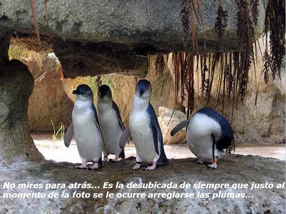 No mires para atrás... Es la desubicada de siempre que justo al