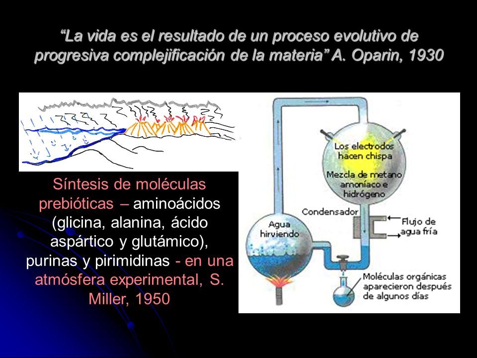 La vida es el resultado de un proceso evolutivo de progresiva complejificación de la materia A. Oparin, 1930