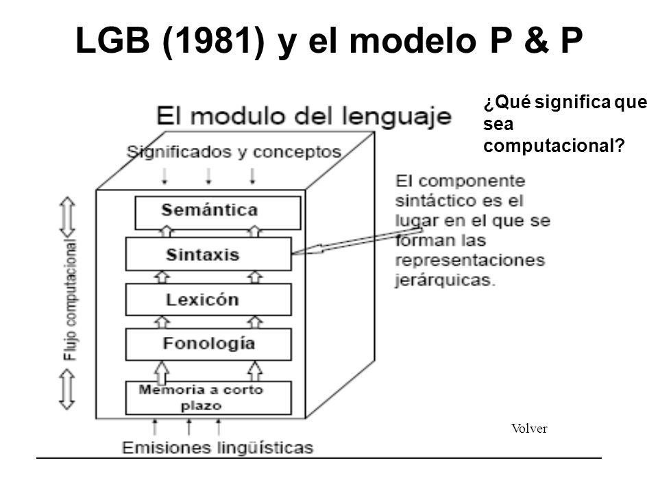 LGB (1981) y el modelo P & P ¿Qué significa que sea computacional
