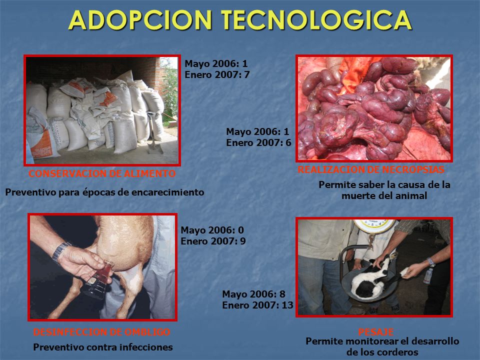 ADOPCION TECNOLOGICA Mayo 2006: 1 Enero 2007: 7 Mayo 2006: 1