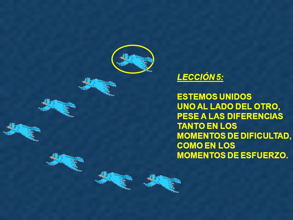 LECCIÓN 5: ESTEMOS UNIDOS. UNO AL LADO DEL OTRO, PESE A LAS DIFERENCIAS. TANTO EN LOS. MOMENTOS DE DIFICULTAD,