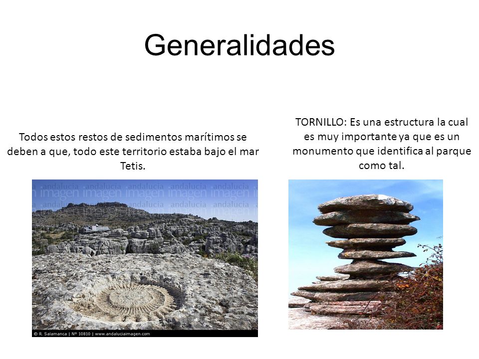 Generalidades TORNILLO: Es una estructura la cual es muy importante ya que es un monumento que identifica al parque como tal.
