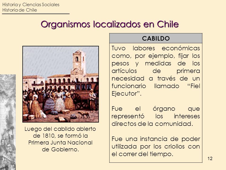 Organismos localizados en Chile