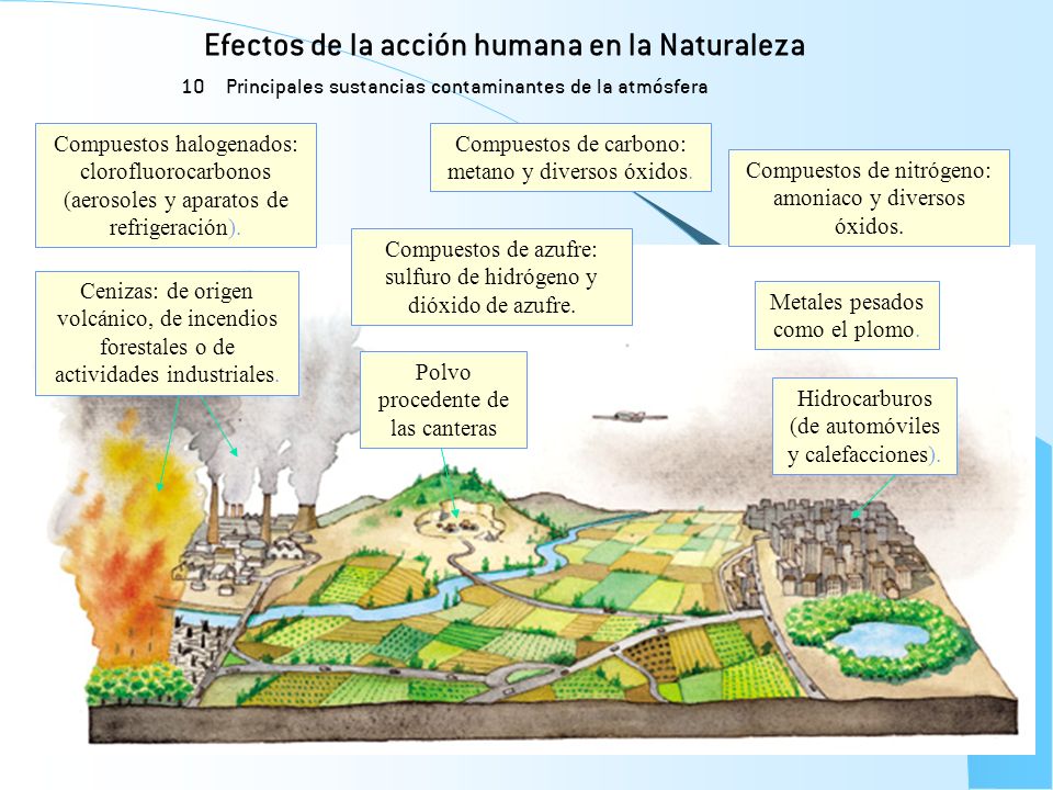 Efectos de la acción humana en la Naturaleza