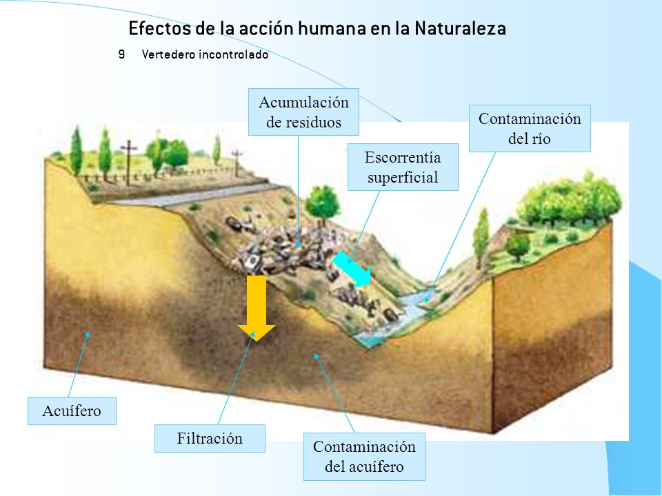 Efectos de la acción humana en la Naturaleza