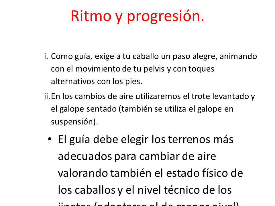 Ritmo y progresión. Como guía, exige a tu caballo un paso alegre, animando con el movimiento de tu pelvis y con toques alternativos con los pies.