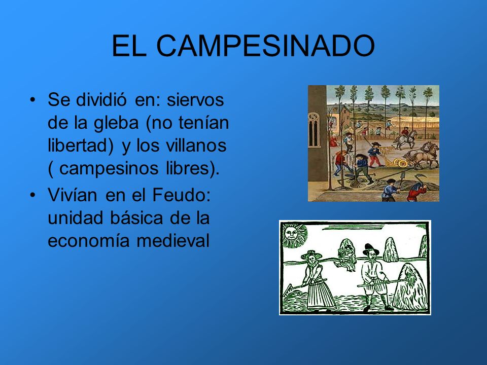 EL CAMPESINADO Se dividió en: siervos de la gleba (no tenían libertad) y los villanos ( campesinos libres).