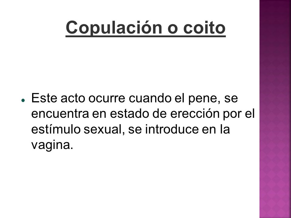 Copulación o coito Este acto ocurre cuando el pene, se encuentra en estado de erección por el estímulo sexual, se introduce en la vagina.