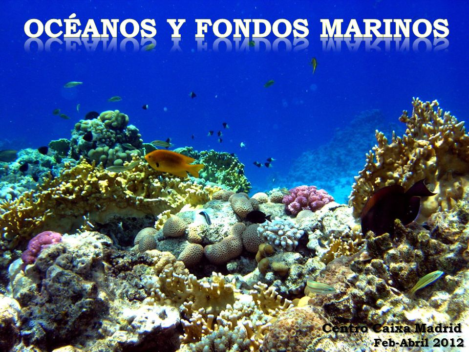 océanos y fondos marinos