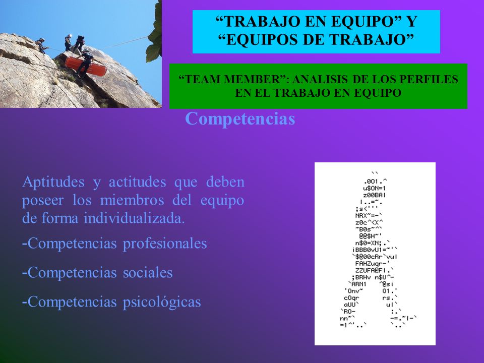 TEAM MEMBER : ANALISIS DE LOS PERFILES EN EL TRABAJO EN EQUIPO