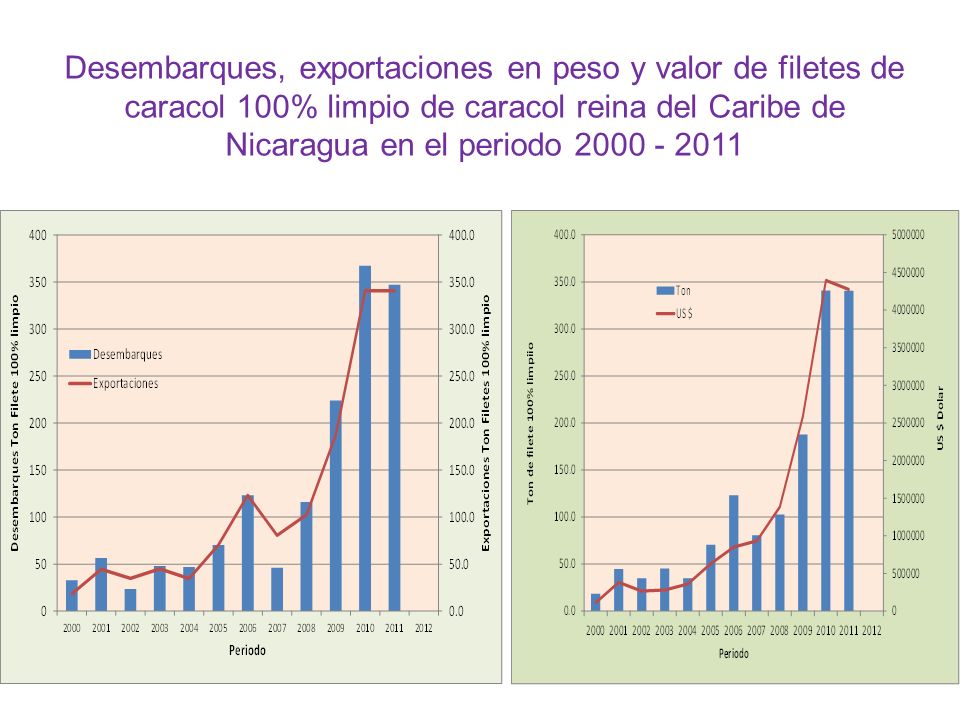 Desembarques, exportaciones en peso y valor de filetes de caracol 100% limpio de caracol reina del Caribe de Nicaragua en el periodo