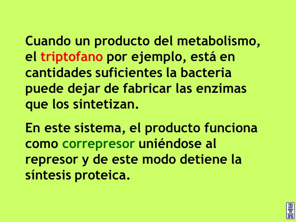 Cuando un producto del metabolismo, el triptofano por ejemplo, está en cantidades suficientes la bacteria puede dejar de fabricar las enzimas que los sintetizan.