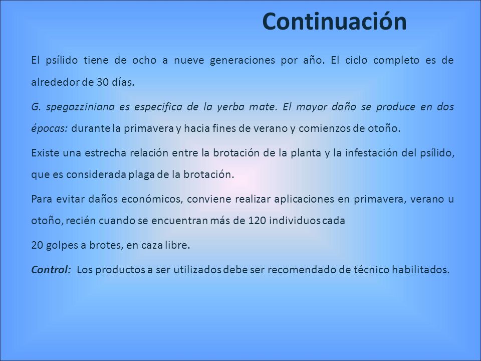 Continuación El psílido tiene de ocho a nueve generaciones por año. El ciclo completo es de alrededor de 30 días.