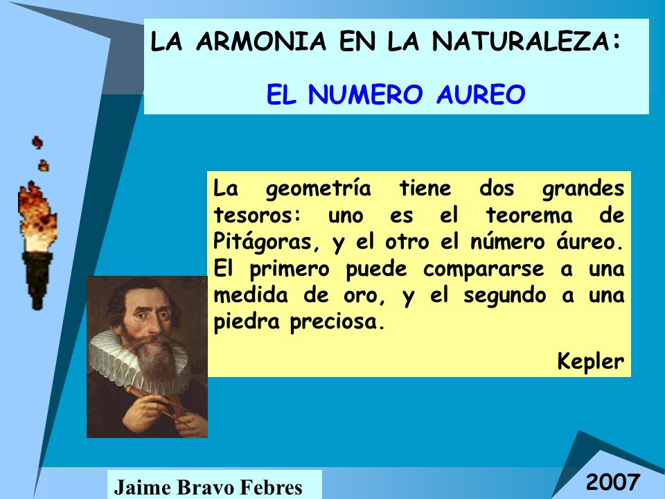 LA ARMONIA EN LA NATURALEZA: EL NUMERO AUREO