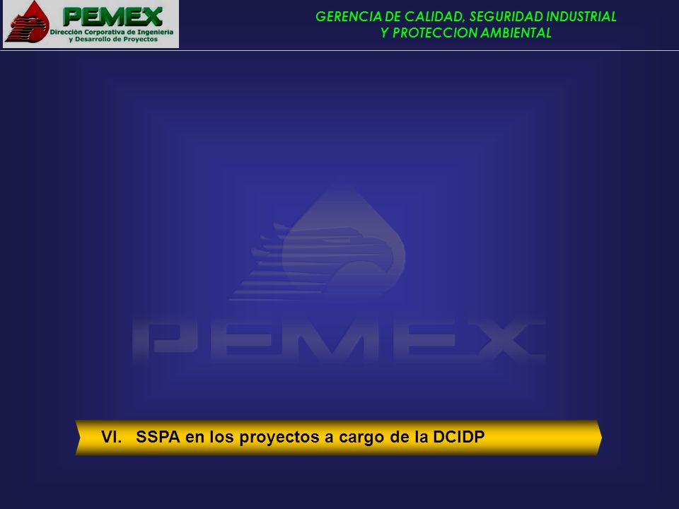 VI. SSPA en los proyectos a cargo de la DCIDP
