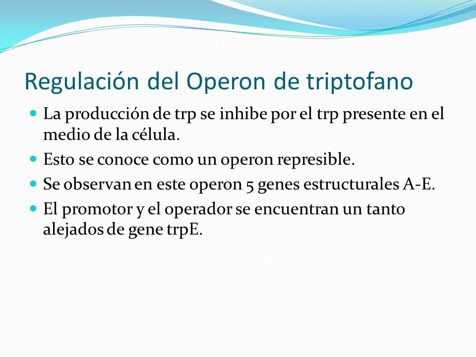 Regulación del Operon de triptofano