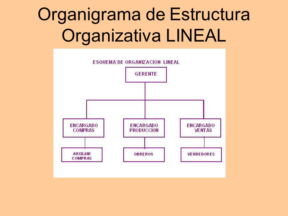 Organigrama de Estructura Organizativa LINEAL