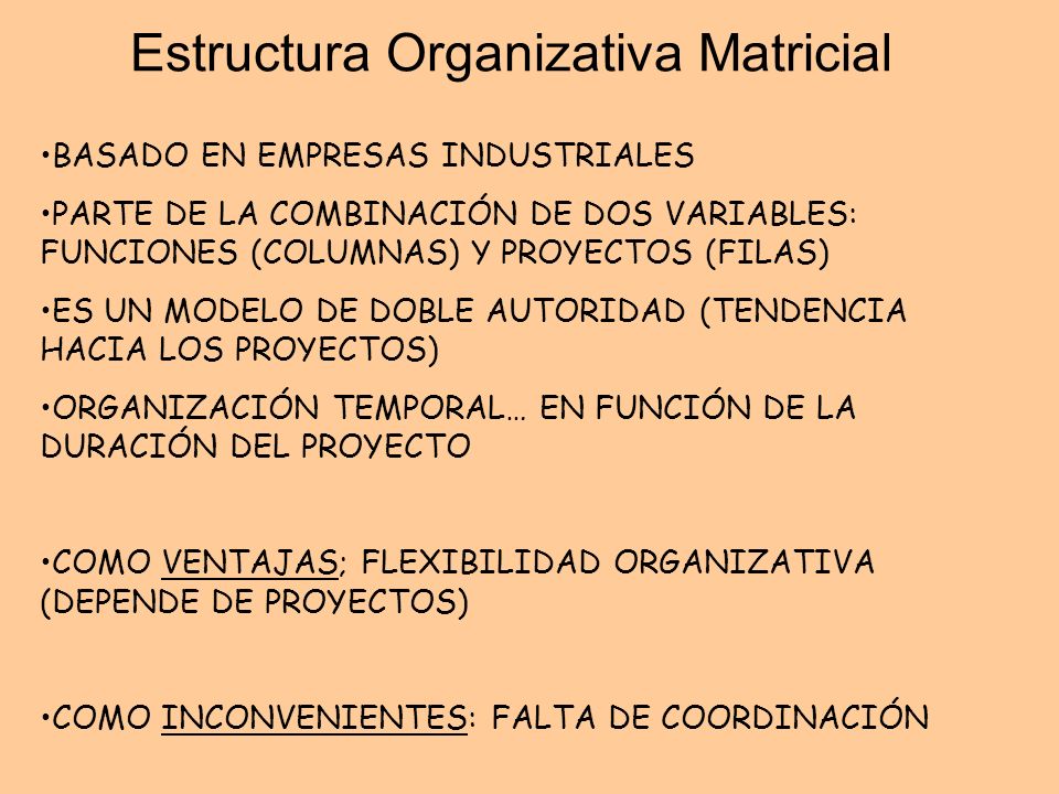 Estructura Organizativa Matricial