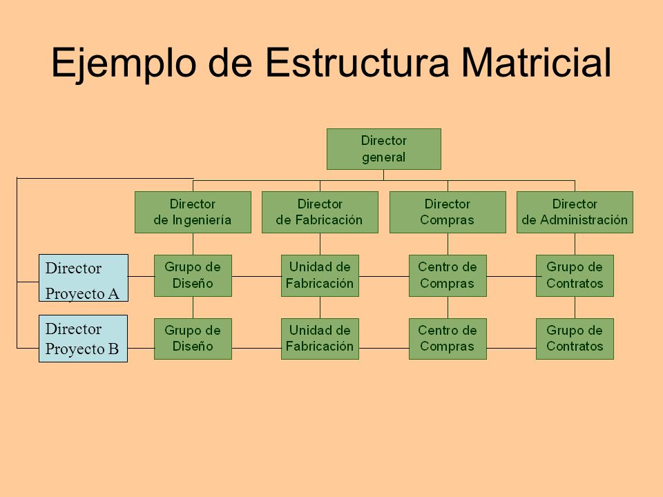 Ejemplo de Estructura Matricial