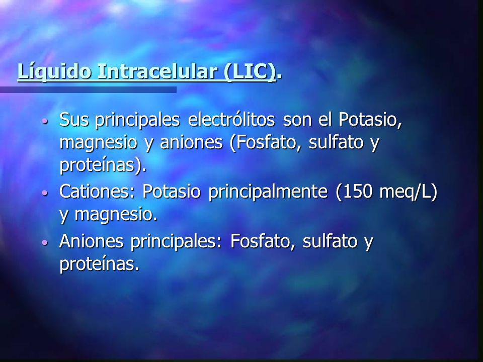 Líquido Intracelular (LIC).