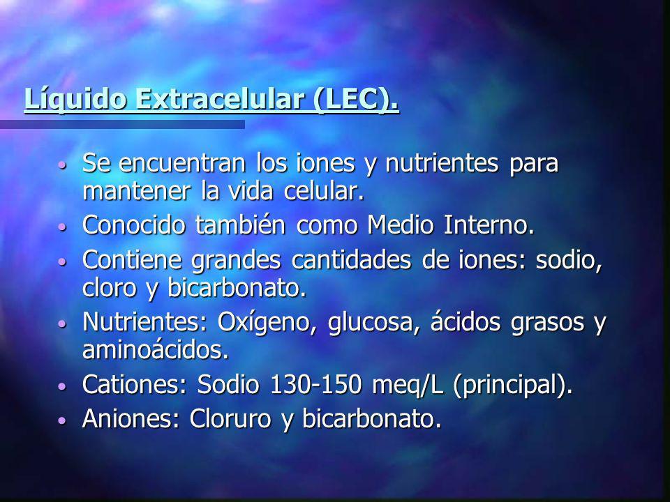 Líquido Extracelular (LEC).