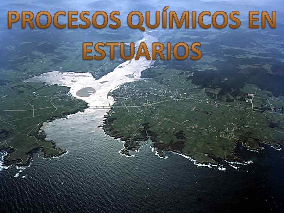 PROCESOS QUÍMICOS EN ESTUARIOS