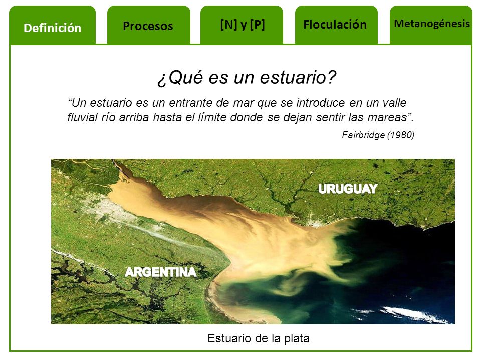 ¿Qué es un estuario Procesos [N] y [P] Floculación Definición