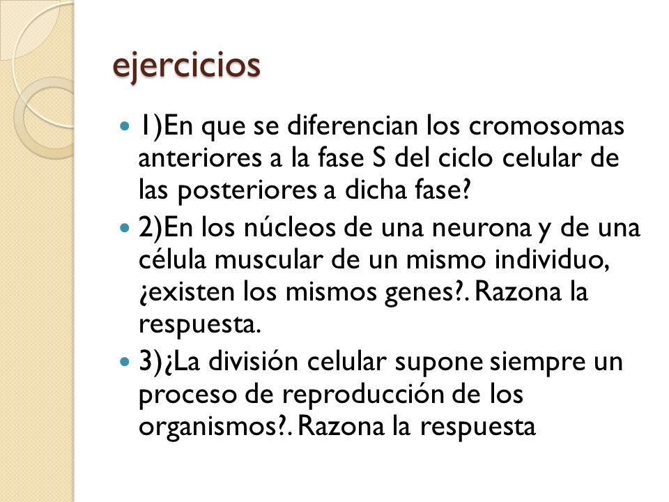 ejercicios 1)En que se diferencian los cromosomas anteriores a la fase S del ciclo celular de las posteriores a dicha fase