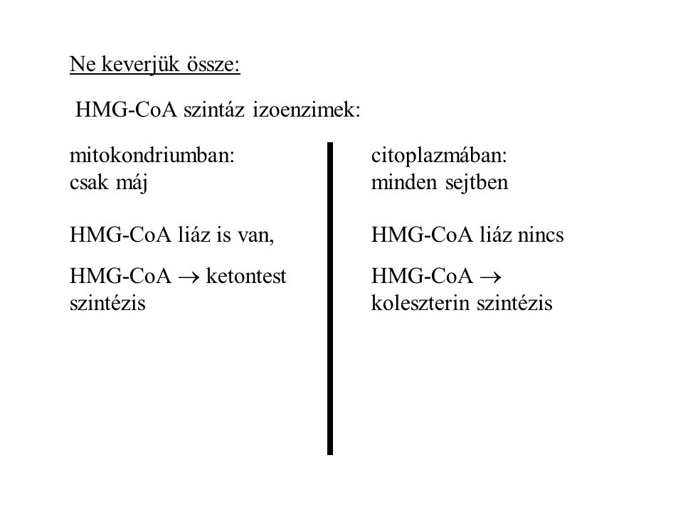 Ne keverjük össze: HMG-CoA szintáz izoenzimek: mitokondriumban: csak máj. citoplazmában: minden sejtben.