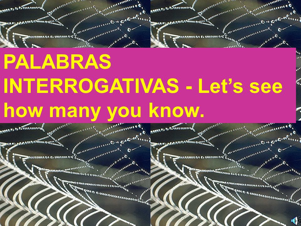 PALABRAS INTERROGATIVAS - Let’s see how many you know.