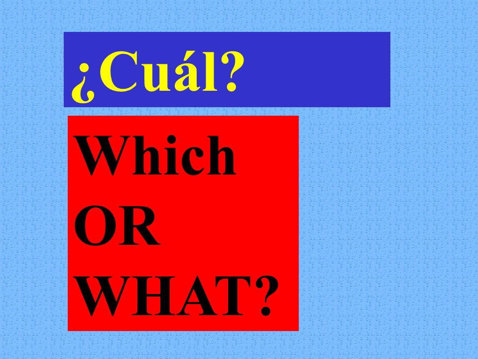 ¿Cuál Which OR WHAT