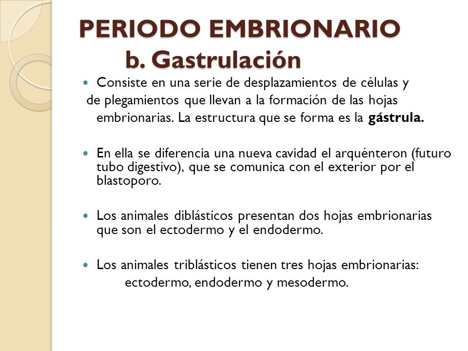PERIODO EMBRIONARIO b. Gastrulación