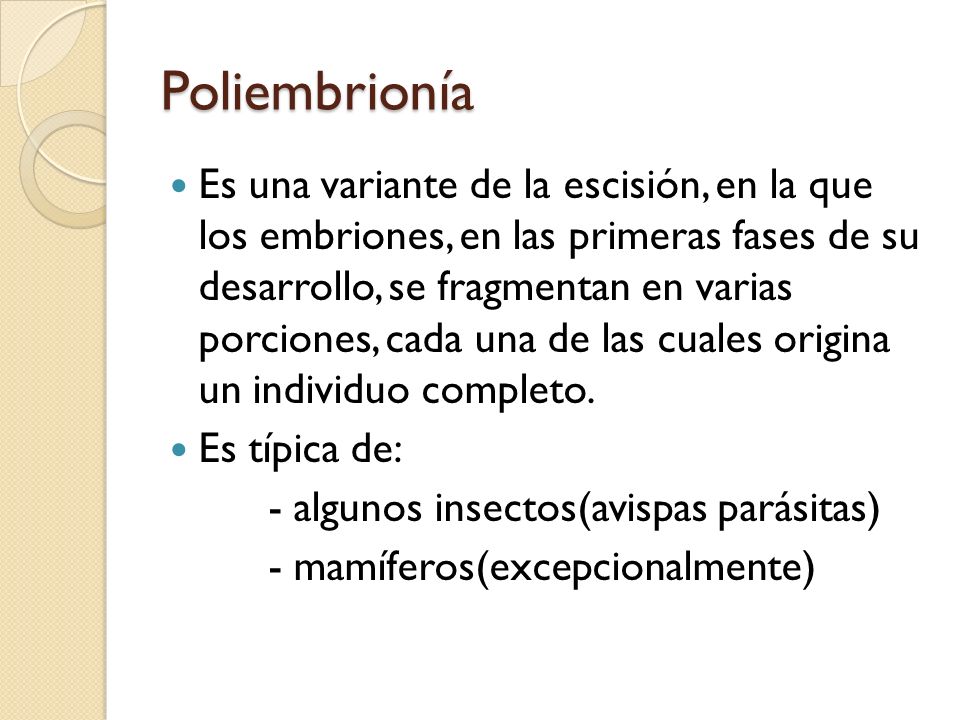 Poliembrionía